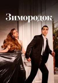 сериал Зимородок